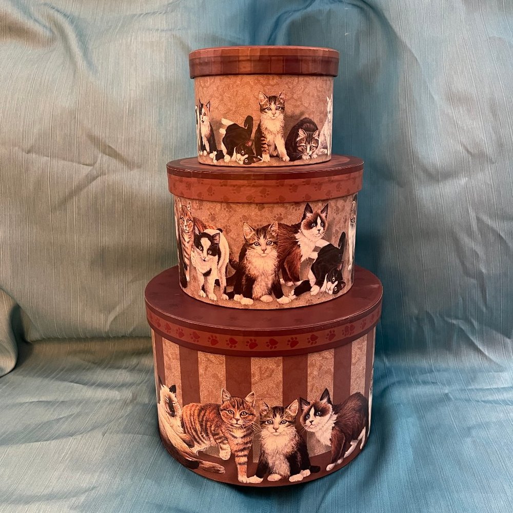 Cute Decorative Nesting/Stacking Boxes